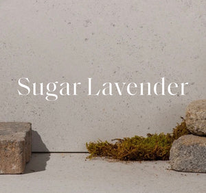 LaLicious Sugar Lavender Body Wash
