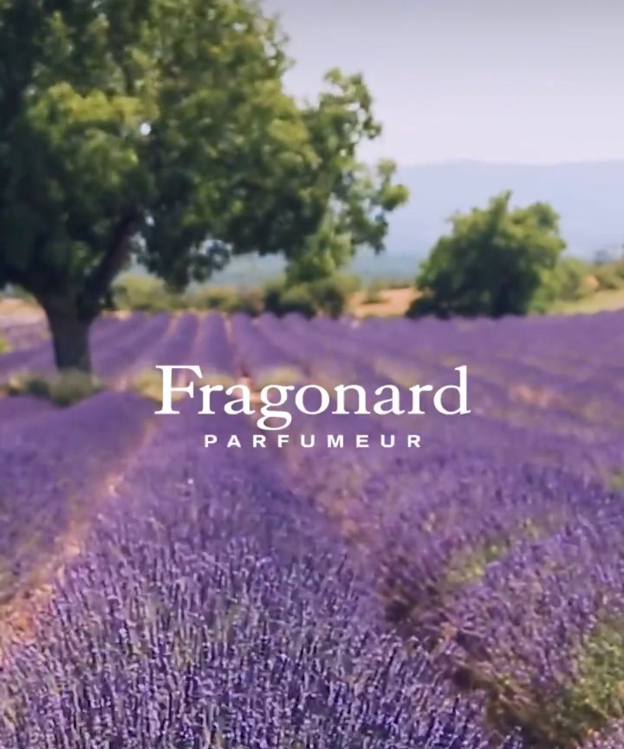 Fragonard Etoile - The Rouge Cosmetics - Fine Cosmetics and Skin Care